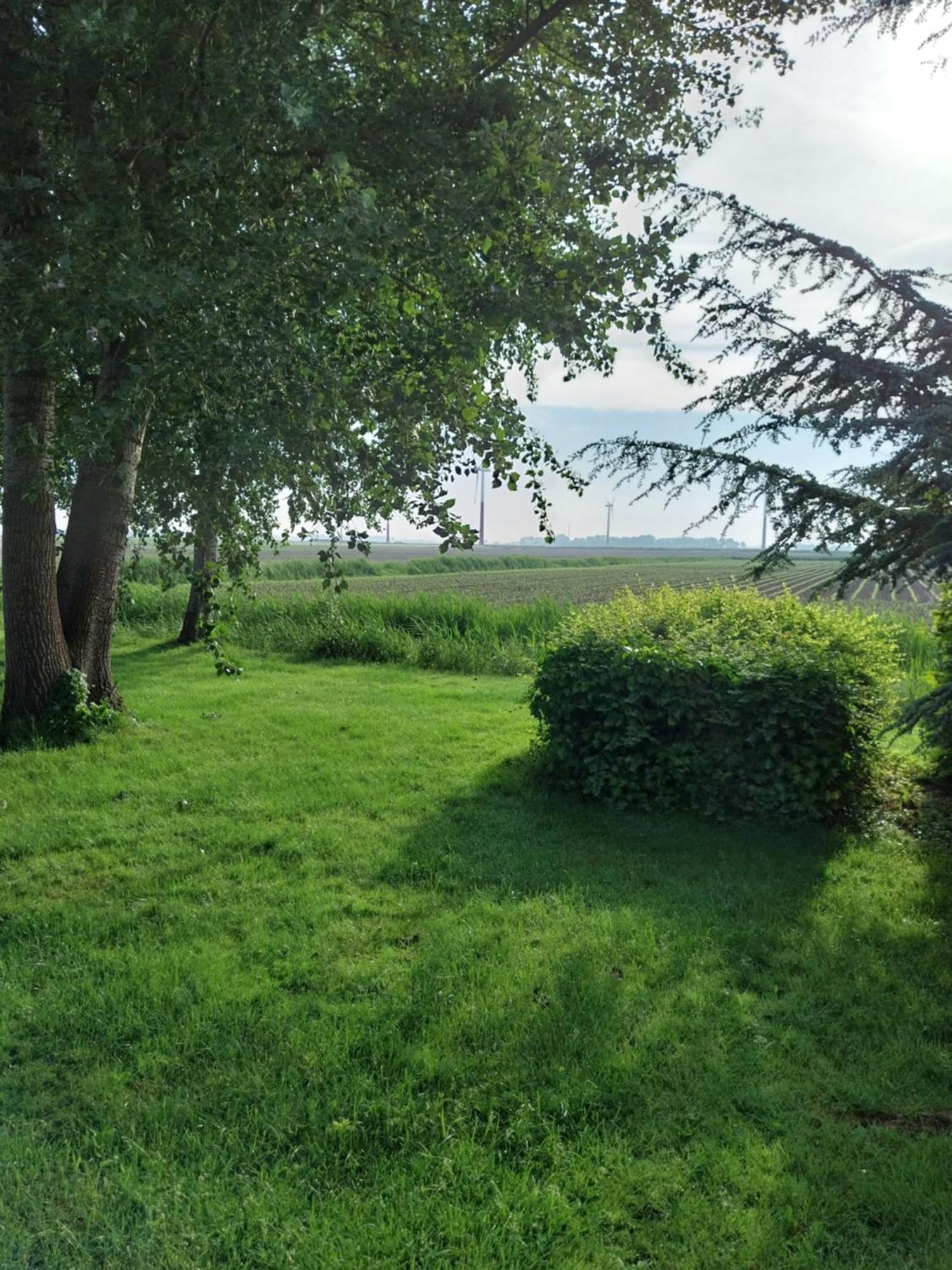 Wad Fijn Villa Sexbierum ภายนอก รูปภาพ