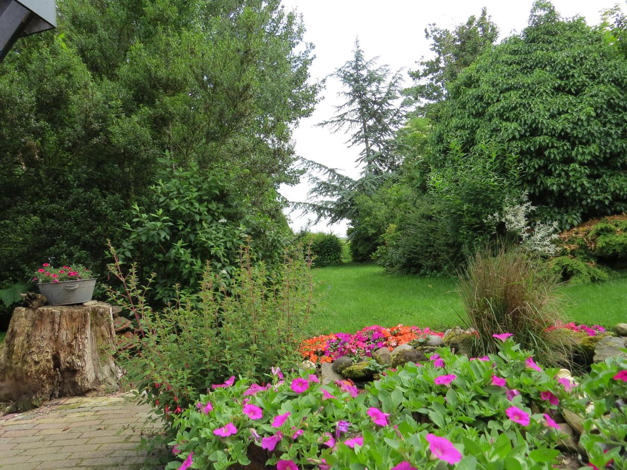 Wad Fijn Villa Sexbierum ภายนอก รูปภาพ