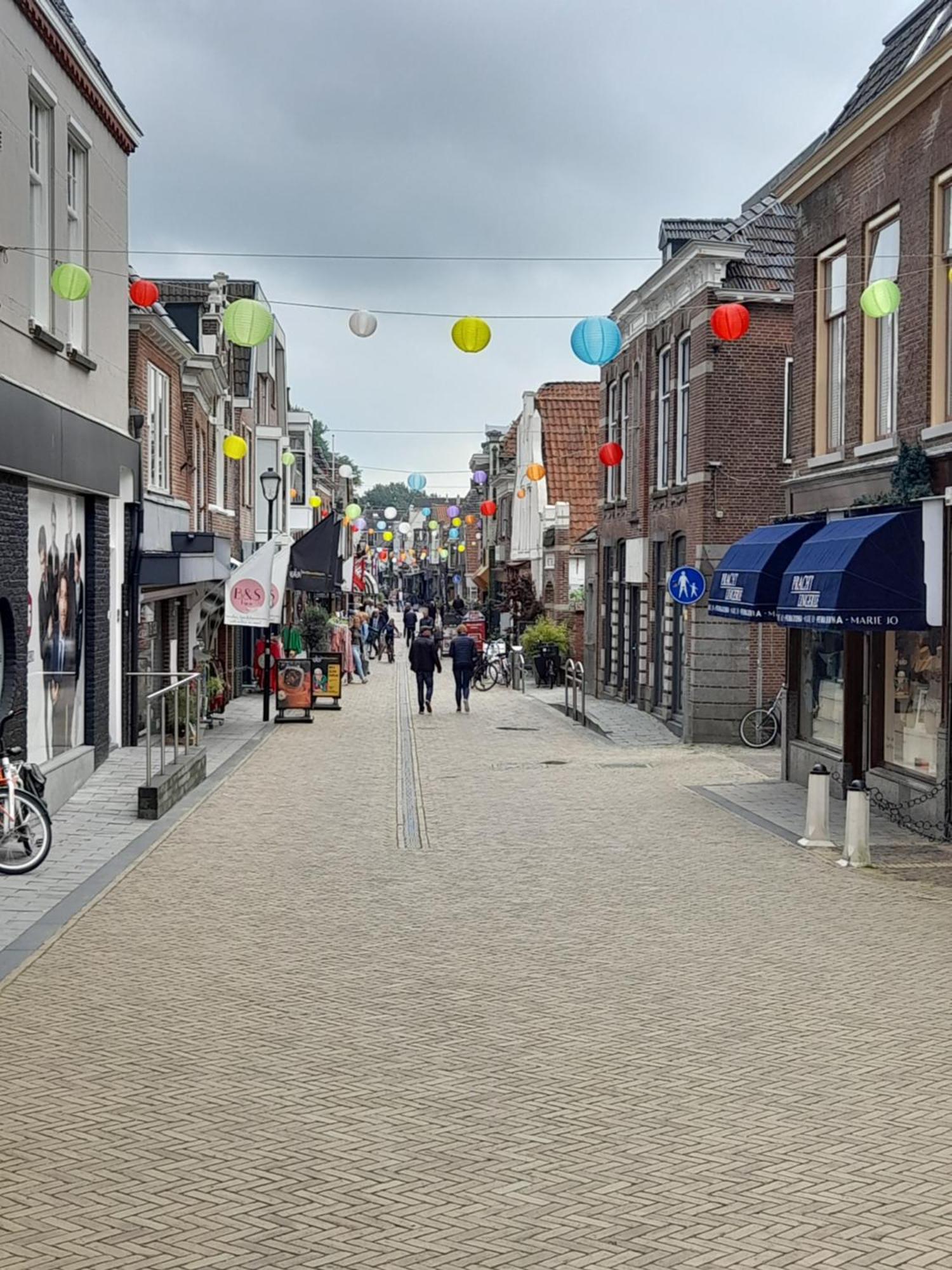 Wad Fijn Villa Sexbierum ภายนอก รูปภาพ
